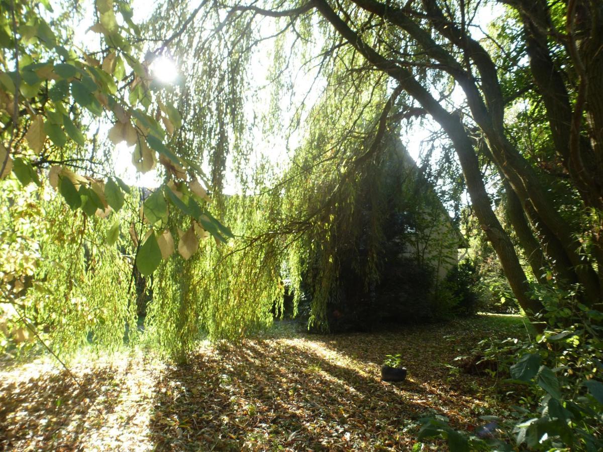 Fewo Im Naturschutzgebiet Hiddenhausen Экстерьер фото
