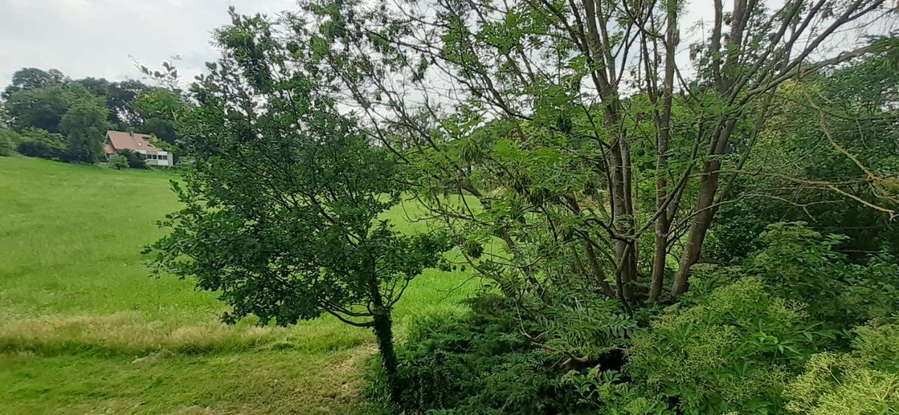 Fewo Im Naturschutzgebiet Hiddenhausen Экстерьер фото